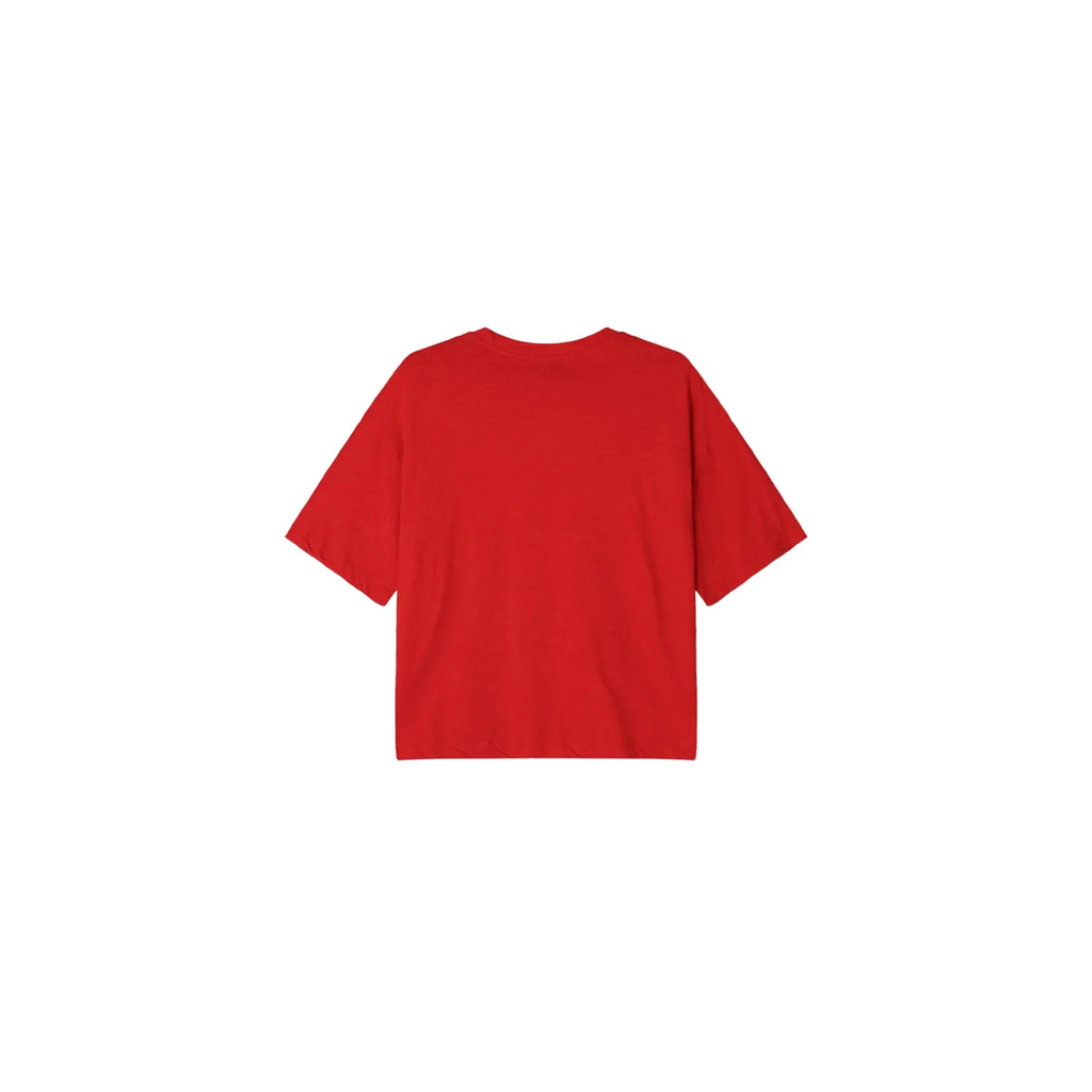 Vintage Poit Slap Crop Half Tee - Red / Grey / Black